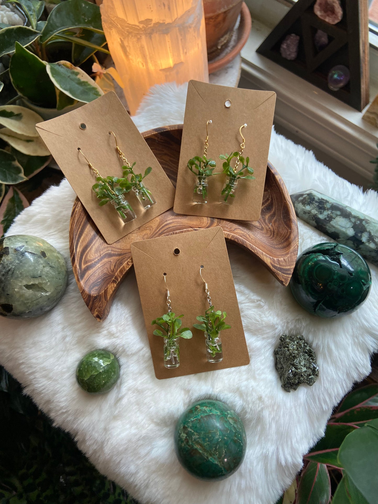 Propagation Jar Earrings
