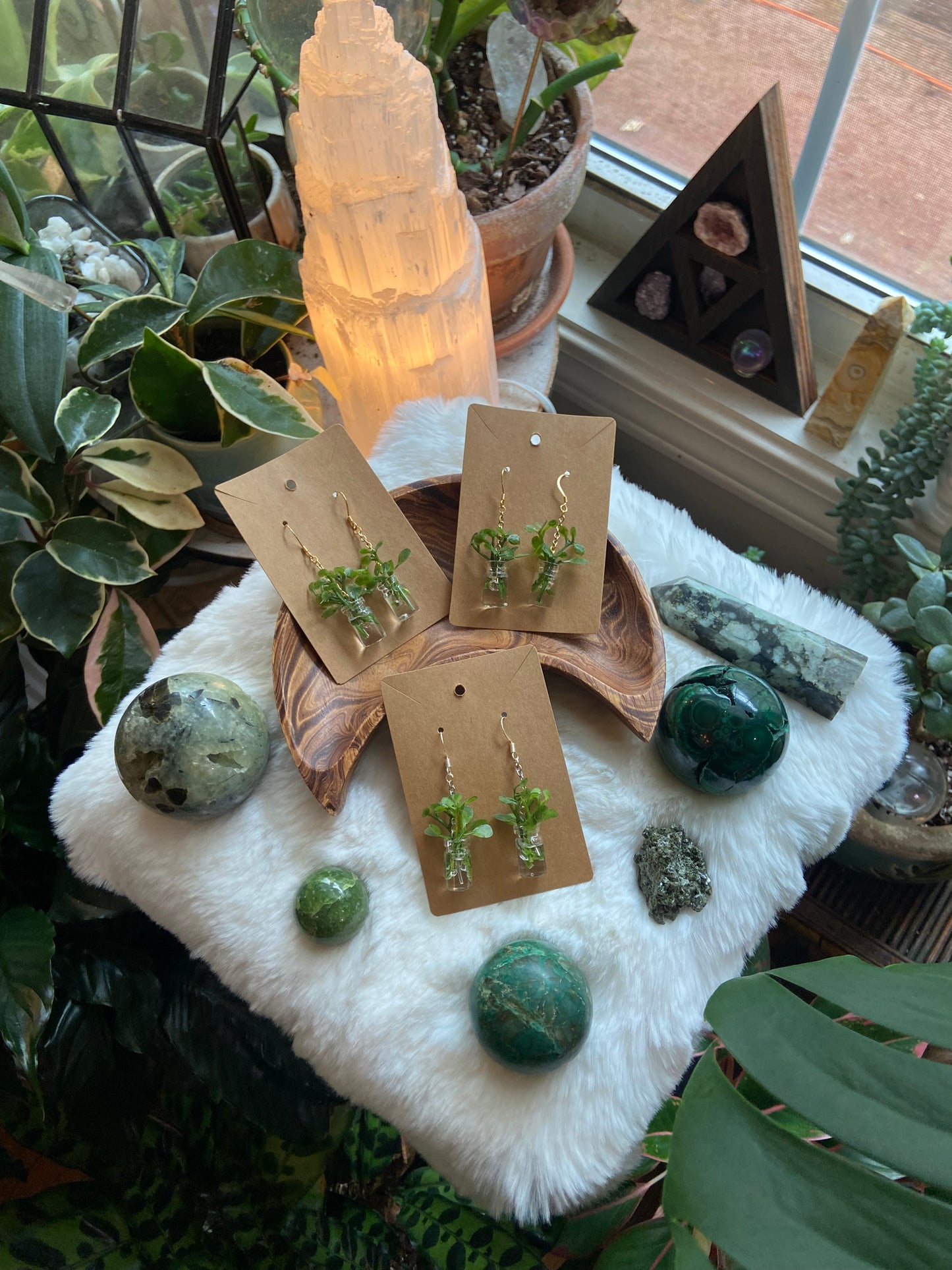 Propagation Jar Earrings