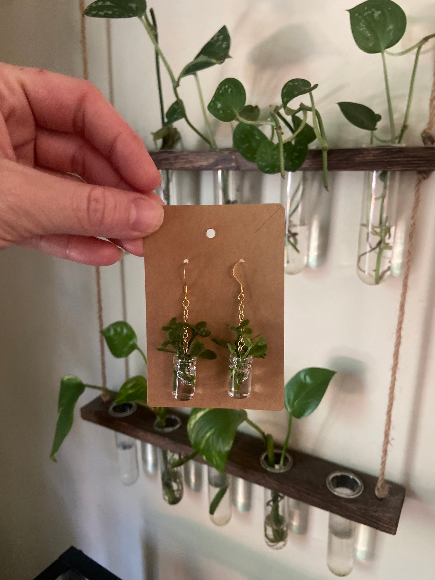 Propagation Jar Earrings