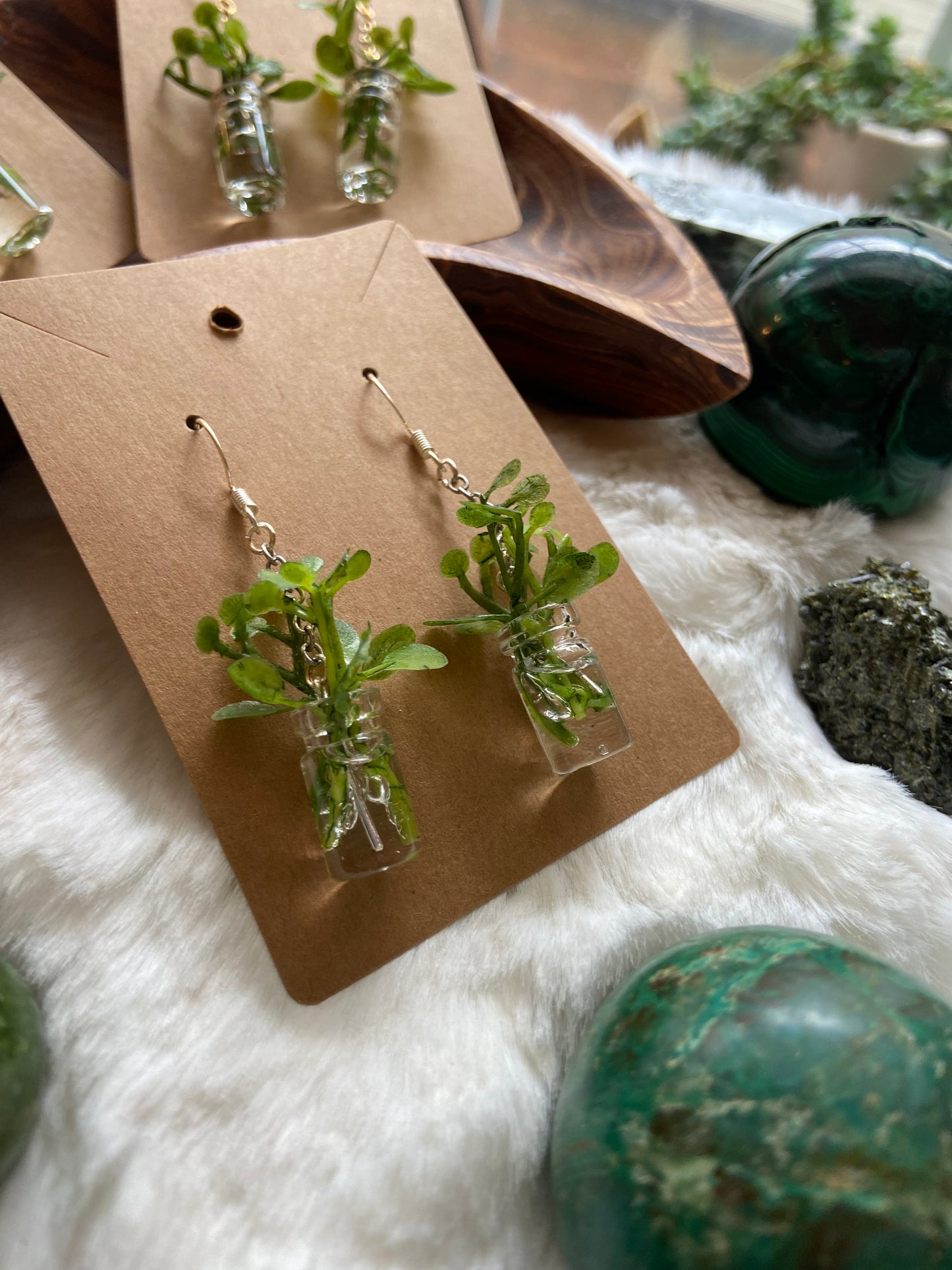 Propagation Jar Earrings