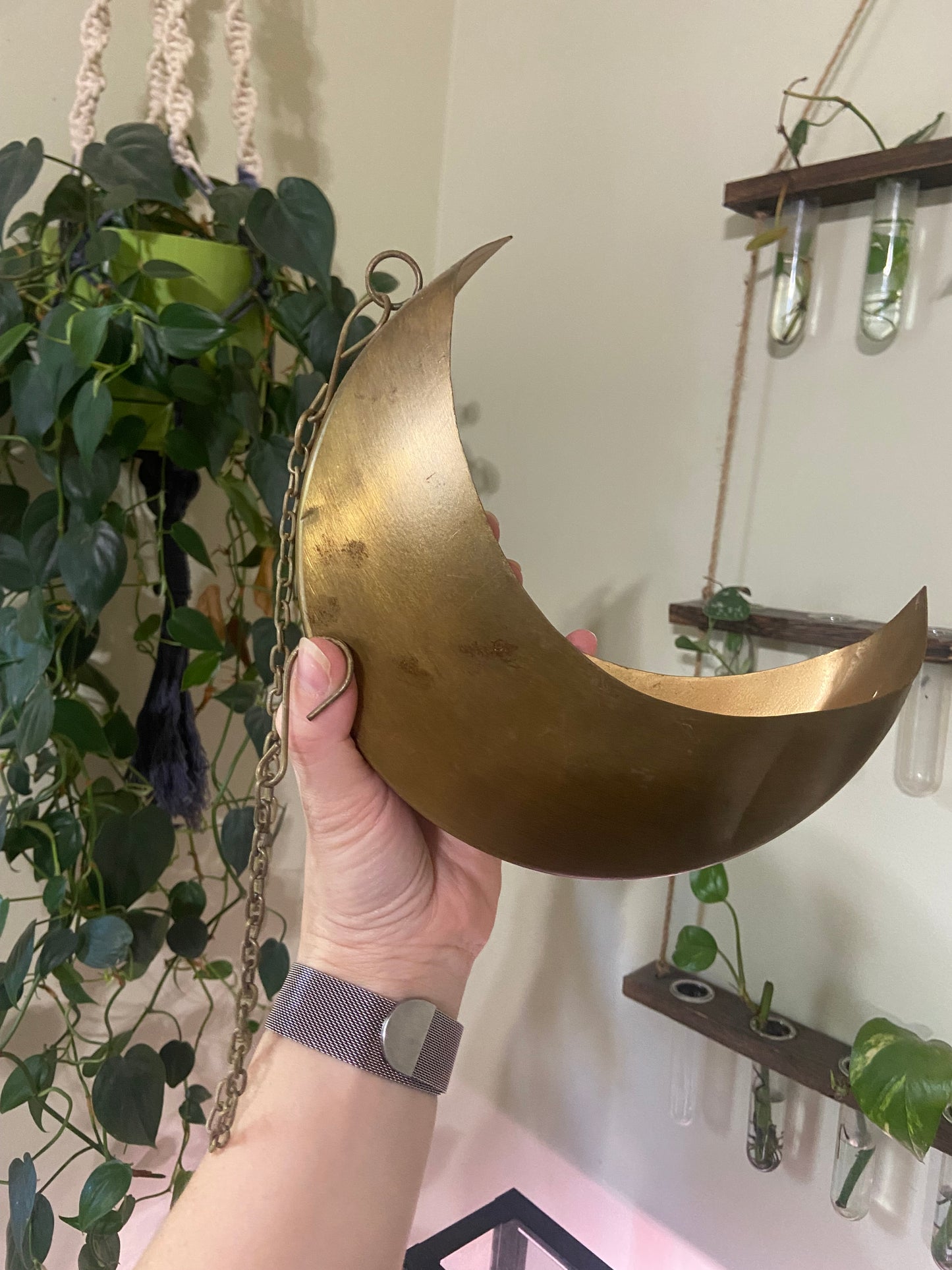 Brass Moon Planter for indoor plants with chain for hanging
