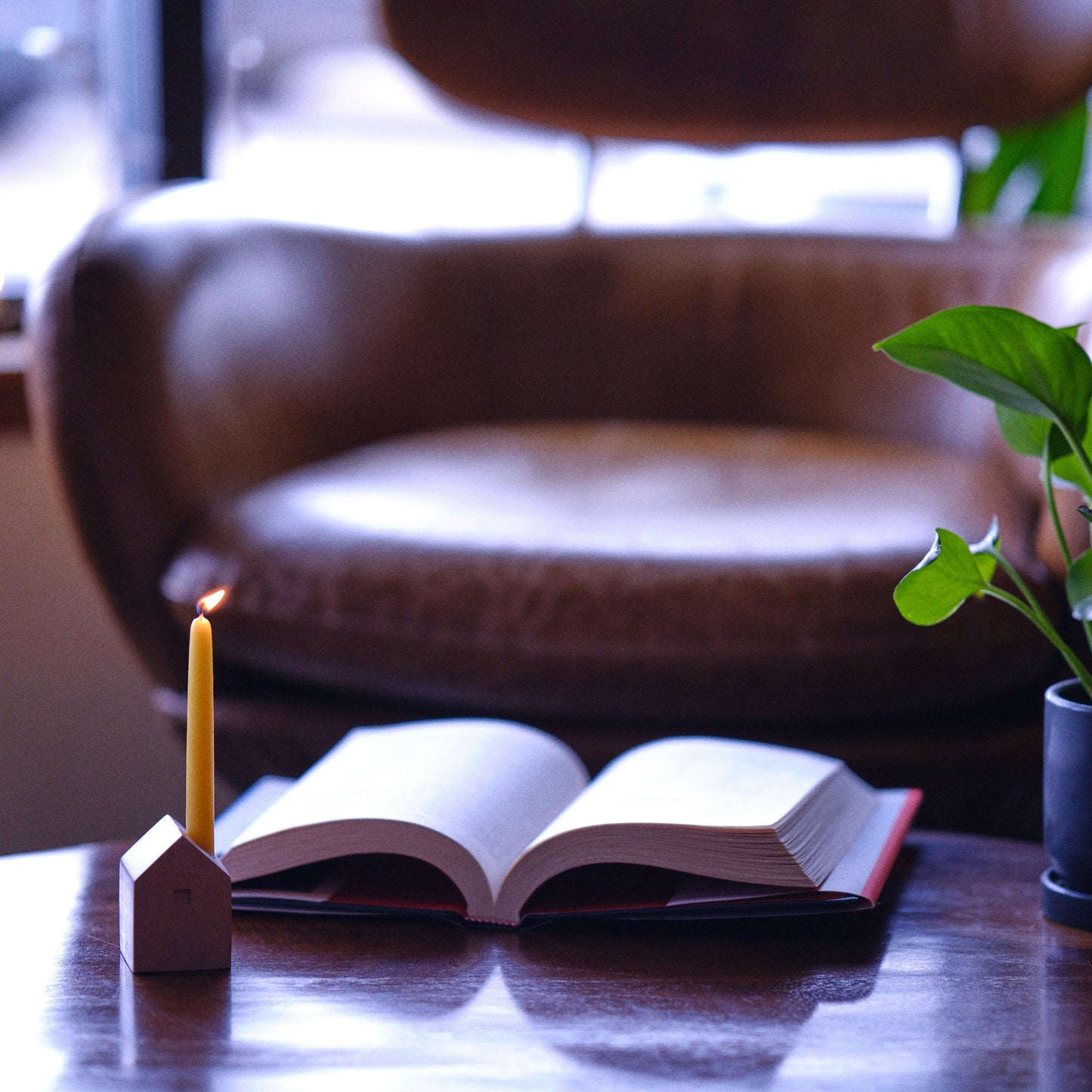 Pure Beeswax - Ceremony & Vigil Mini Taper Candles