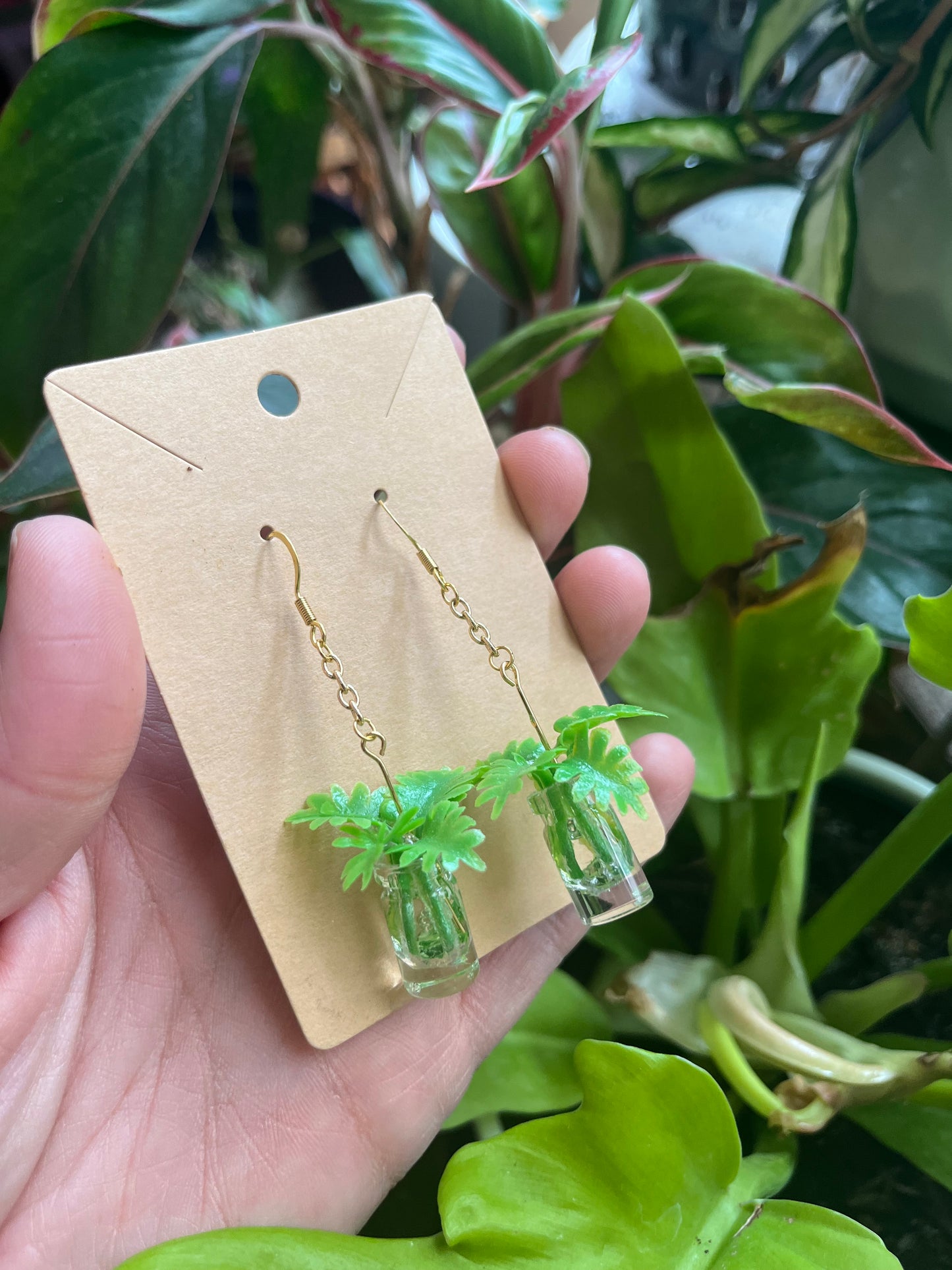Philodendron Xanadu propagation earrings