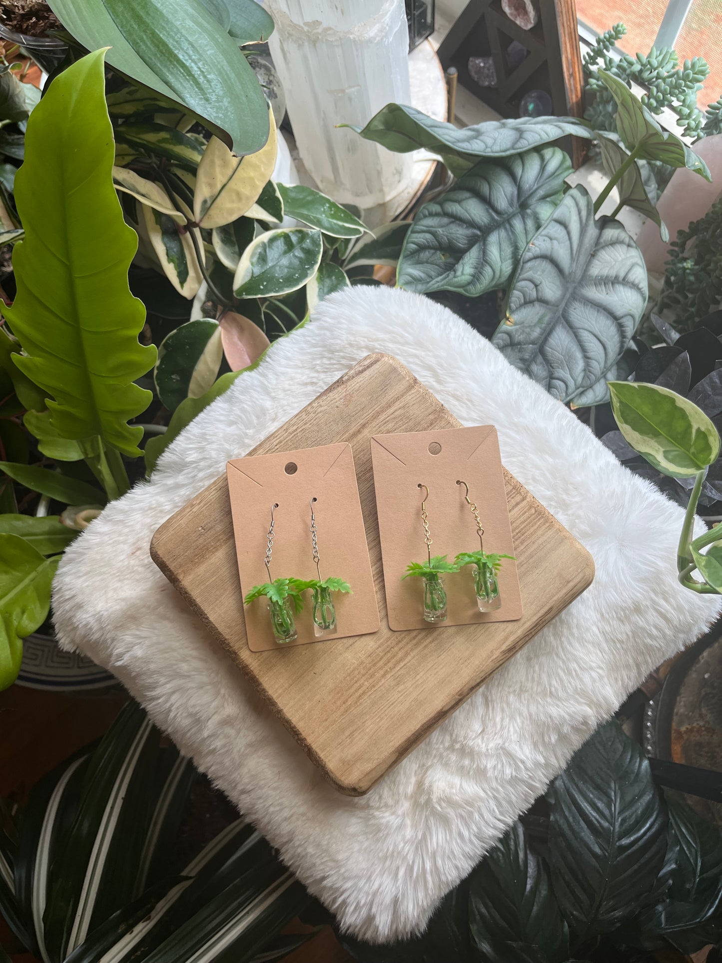 Philodendron Xanadu propagation earrings