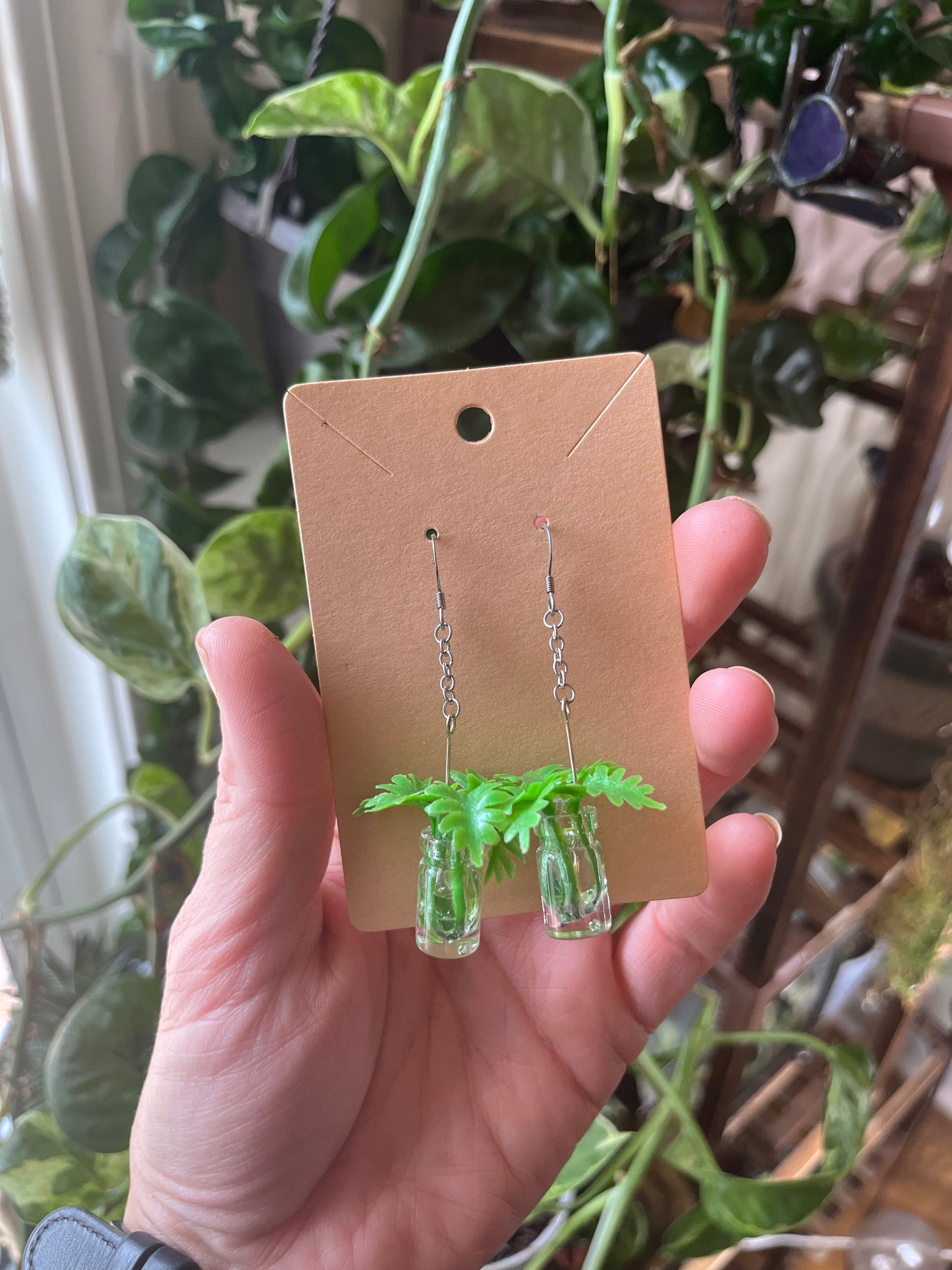 Philodendron Xanadu propagation earrings