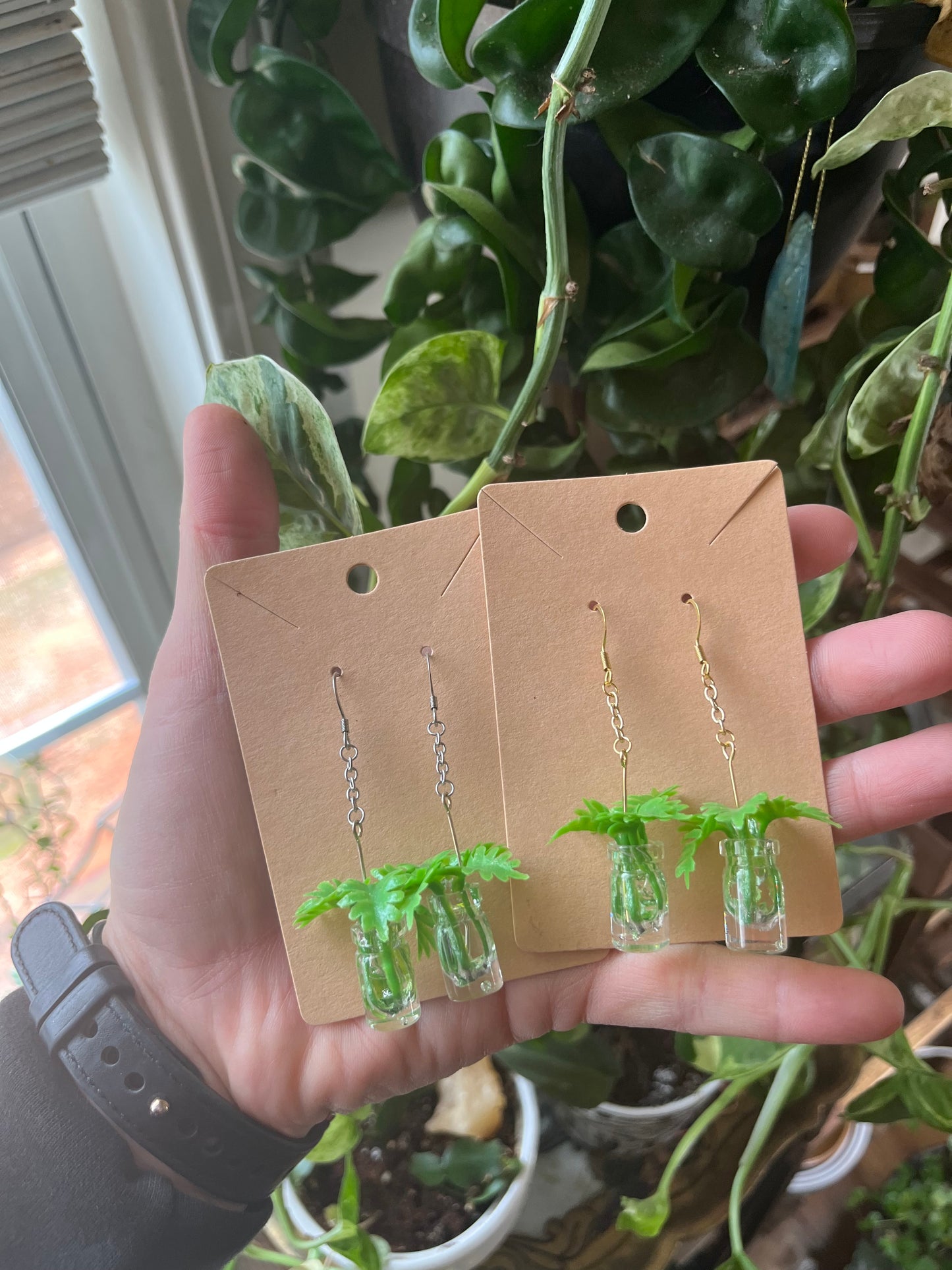 Philodendron Xanadu propagation earrings