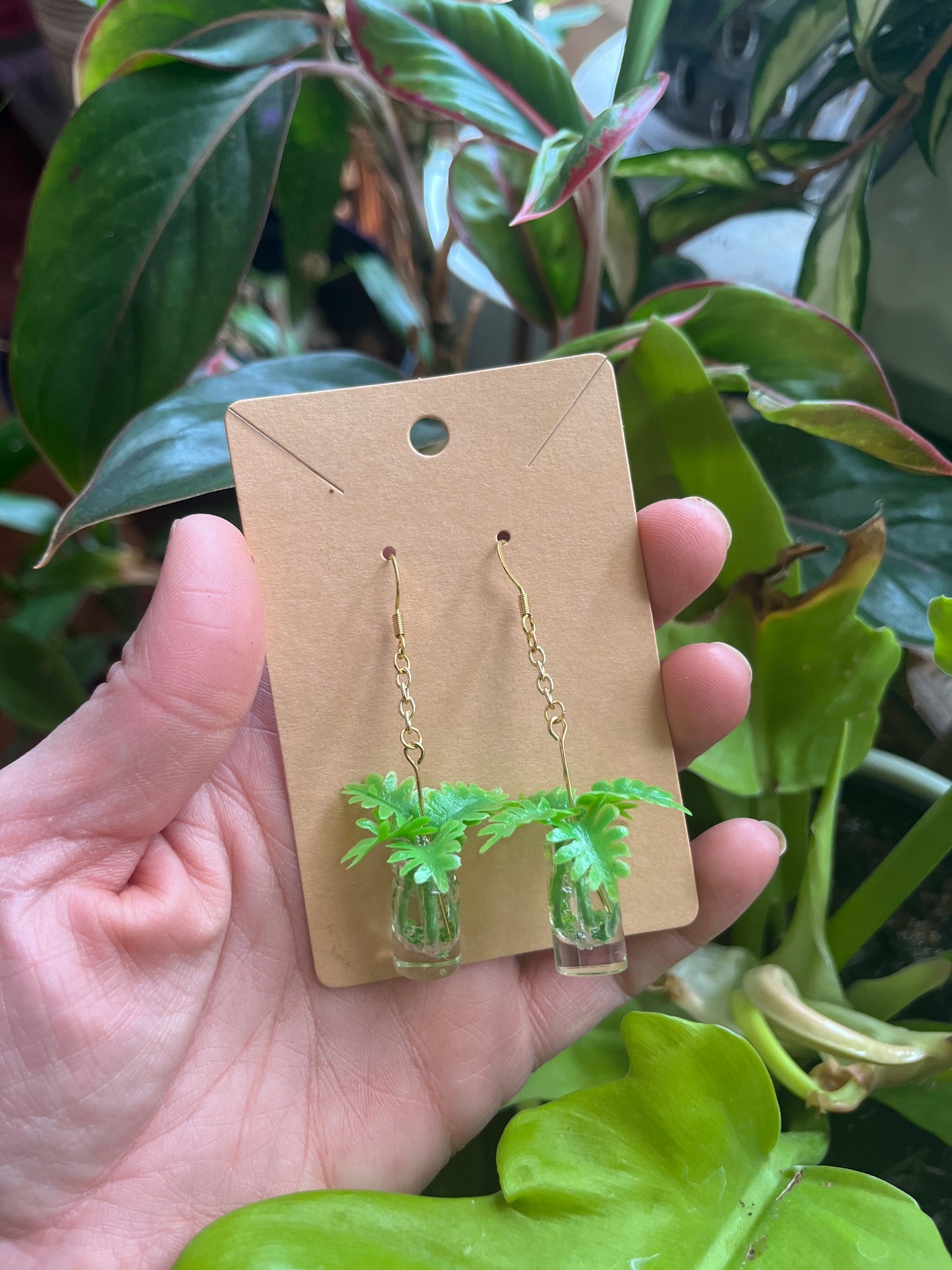 Philodendron Xanadu propagation earrings
