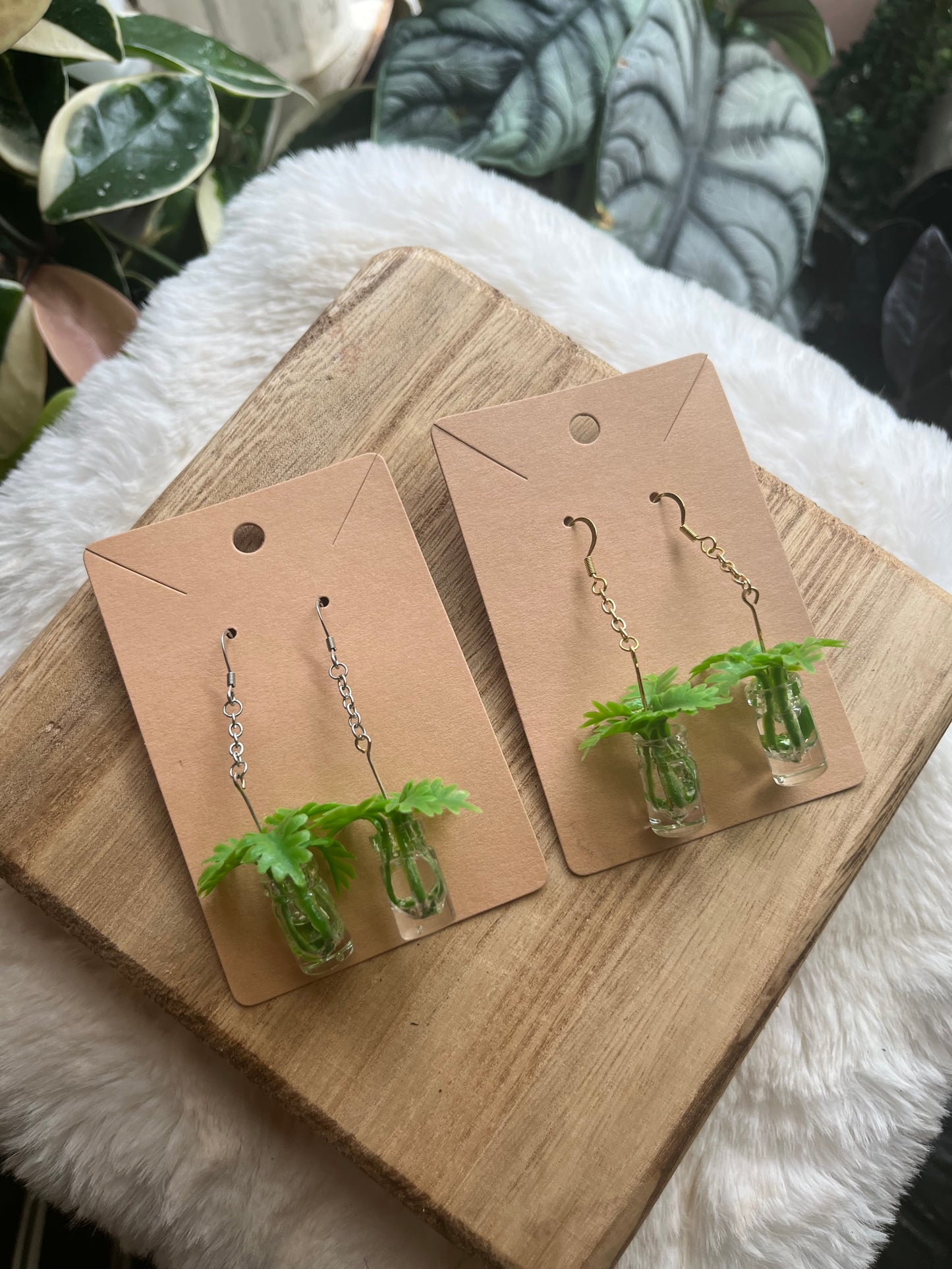 Philodendron Xanadu propagation earrings