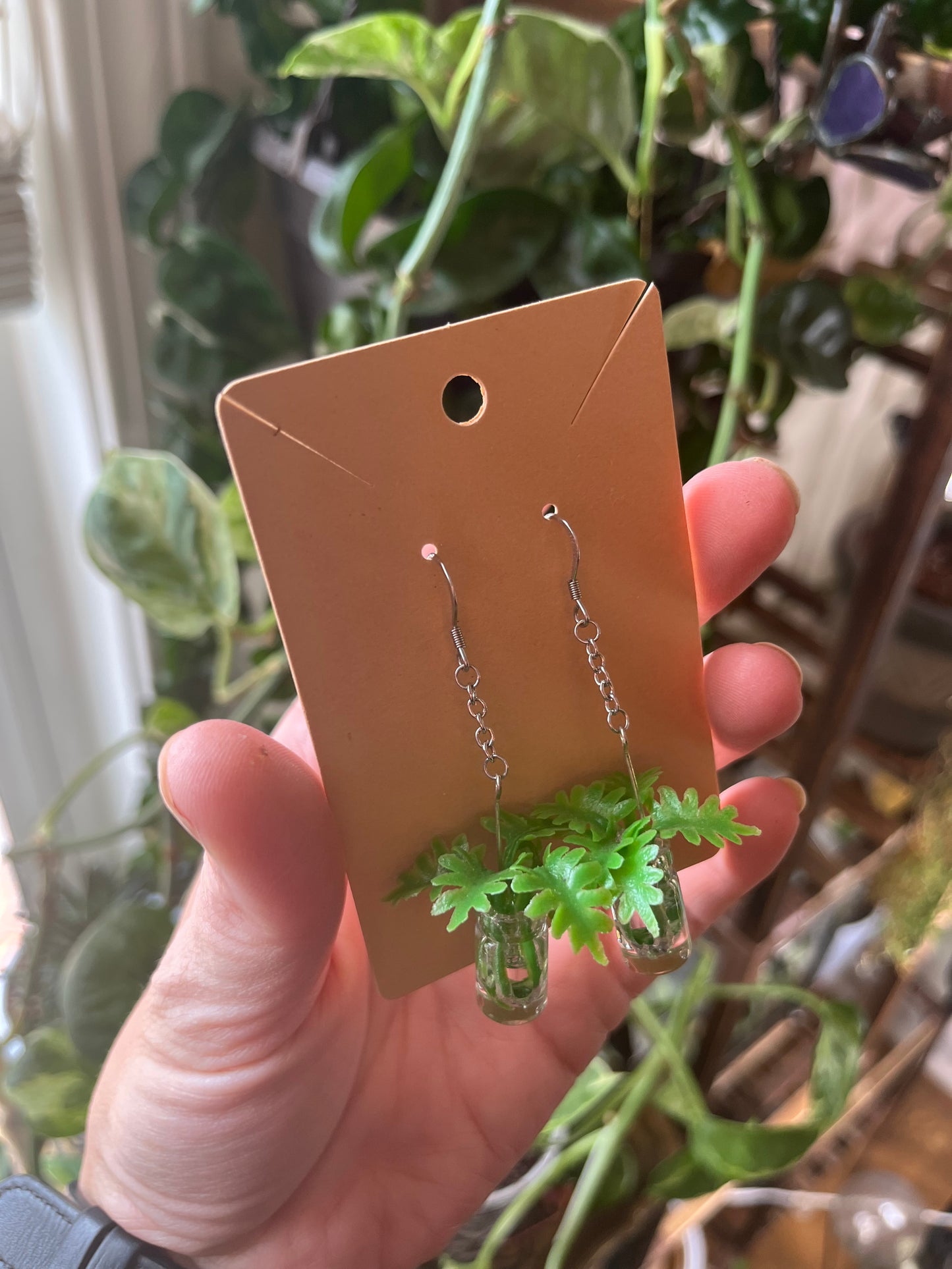 Philodendron Xanadu propagation earrings